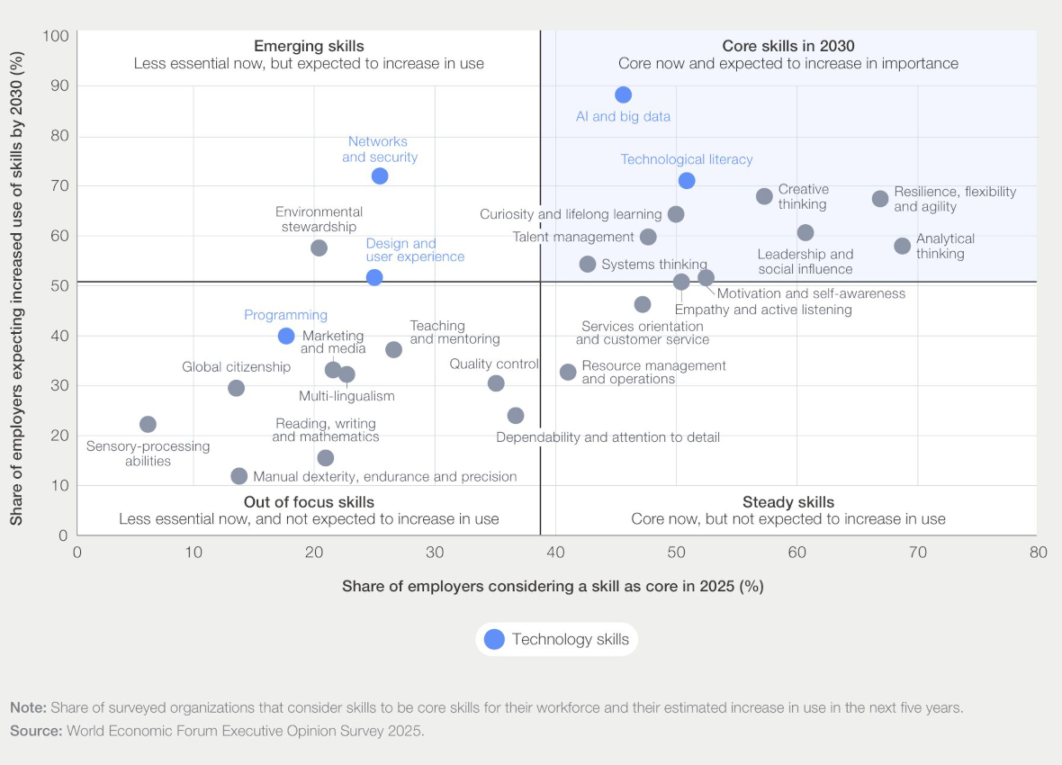 Overview of the 2030 economy skills